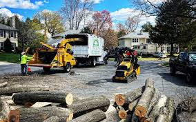 Best Arborist Consultation Services  in Pleasant Grove, UT